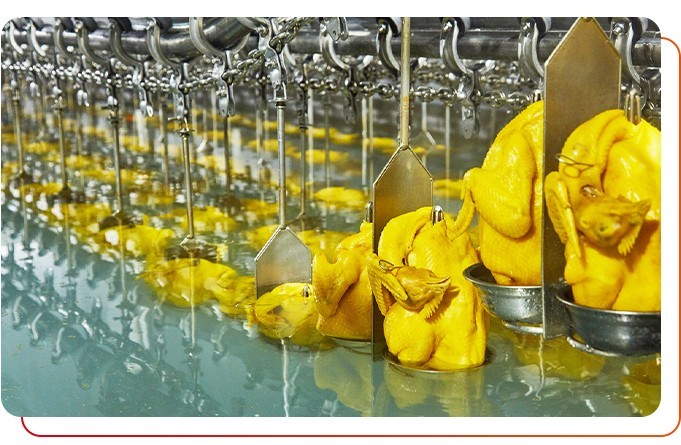 預制菜供應商產品安全衛生嗎？